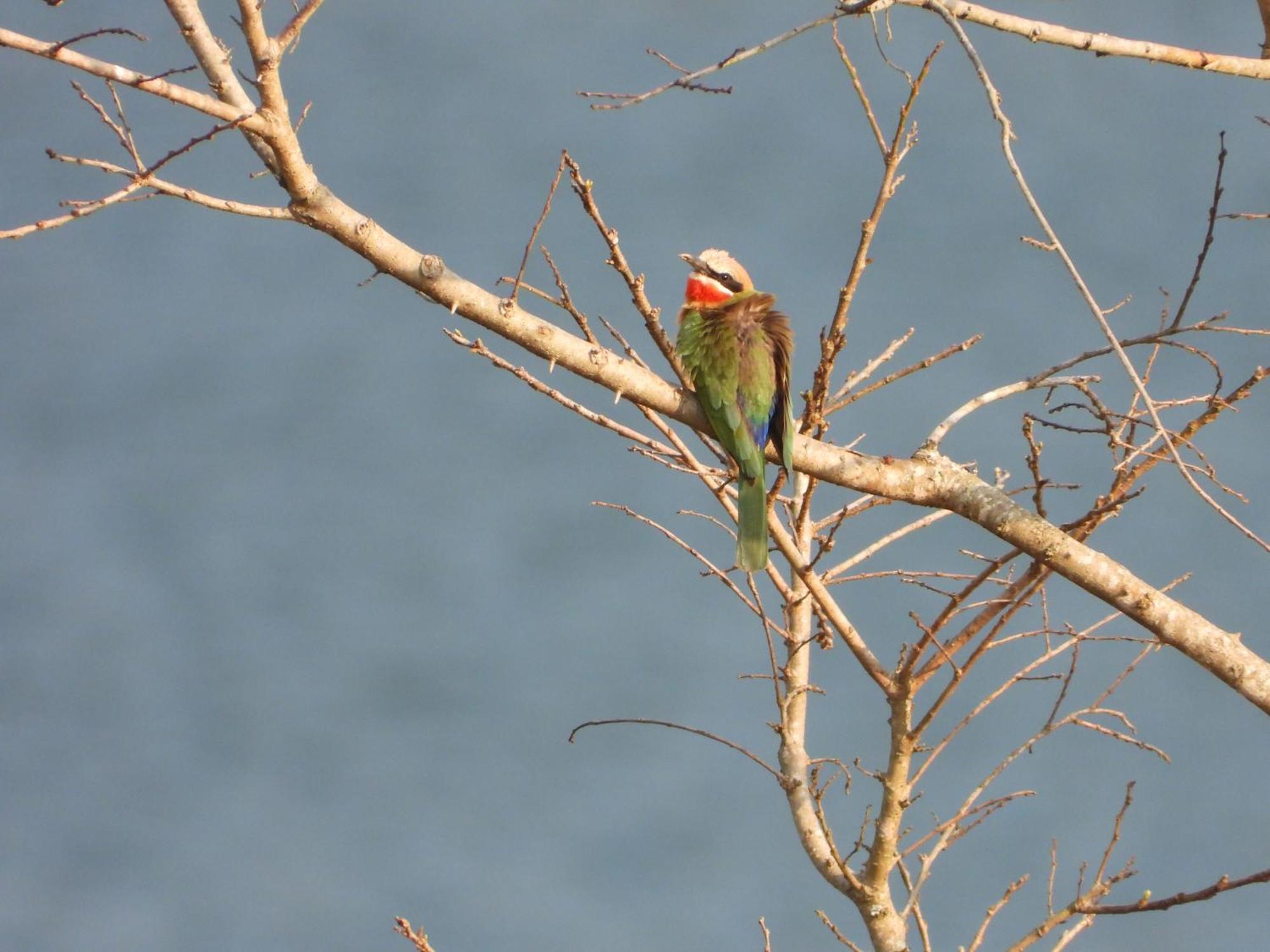 Dagama Dam - White River - Kestrel - House 21 מראה חיצוני תמונה